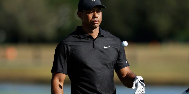 Tiger Woods flips a golf ball after teeing off on the fifth hole during the first round of the PNC Championship golf tournament Friday, Dec. 17, 2021, in Orlando, Florida. Woods is back playing after getting injured in a car accident. He is paired with his son Charlie during the tournament.