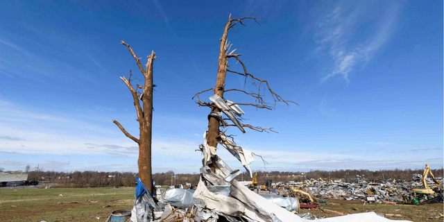 Debris is wrapped around damaged trees as emergency workers search through what is left of the Mayfield Consumer Products Candle Factory after it was destroyed by a tornado in Mayfield, Kentucky, on Dec. 11, 2021.