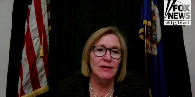 Reps. Michelle Fischbach