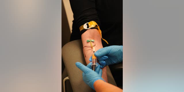 A Sra. Hetherington teve seu sangue colhido como parte de seu tratamento de câncer em Londres no início de dezembro.