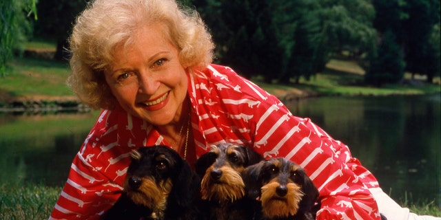 Television icon Betty White, known for "Golden Girls" and "The Mary Tyler Moore Show," died on New Year’s Eve 2021 at age 99, just weeks shy of her 100th birthday.  