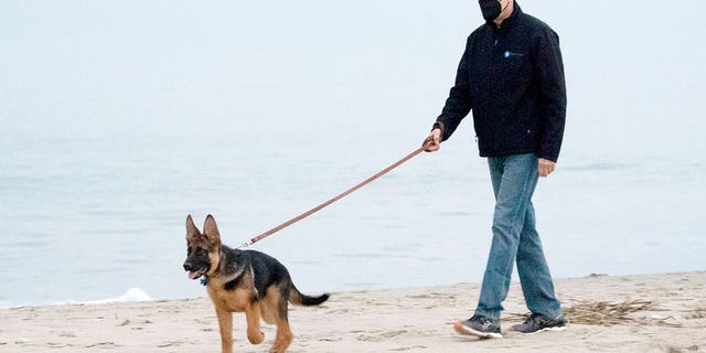 US President Joe Biden walks his dog Commander on the beach in Rehoboth Beach, Delaware, December 28, 2021. 