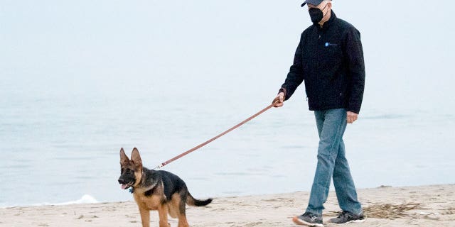 US President Joe Biden walks his dog Commander on the beach in Rehoboth Beach, Delaware, December 28, 2021. (Photo by SAUL LOEB / AFP) (Photo by SAUL LOEB/AFP via Getty Images)