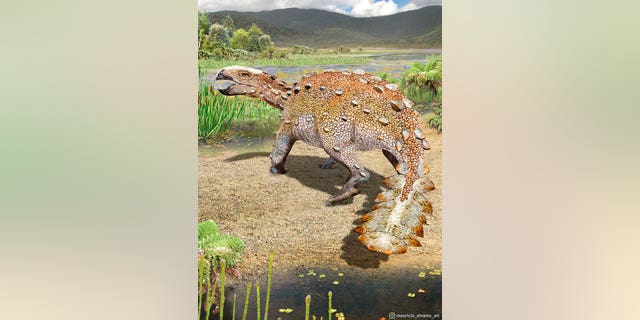 This illustration, provided by Mauricio Alvarez, shows a Stegouros. Fossils found in Chile are from the bizarre dog-sized dinosaur species that had a unique slashing tail weapon, scientists reported Wednesday, Dec. 1, 2021. 