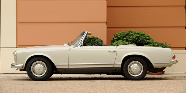 The Mercedes Benz 230SL replaced the 300 SL gullwing door coupe and 190 SL convertible in the brand's lineup.