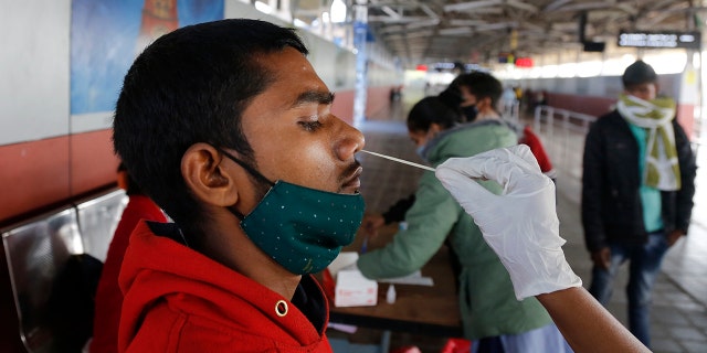 A health worker takes a swab sample of a passenger entering the city to test for COVID-19 at a railway station in Ahmedabad, India, Friday, Dec. 3, 2021. India on Thursday confirmed its first cases of the omicron coronavirus variant in two people and officials said one arrived from South Africa and the other had no travel history. A top medical expert urged people to get vaccinated. 