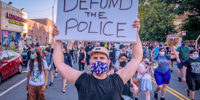 Both Democratic lawmakers and members of the media have pushed the movement to defund police. 