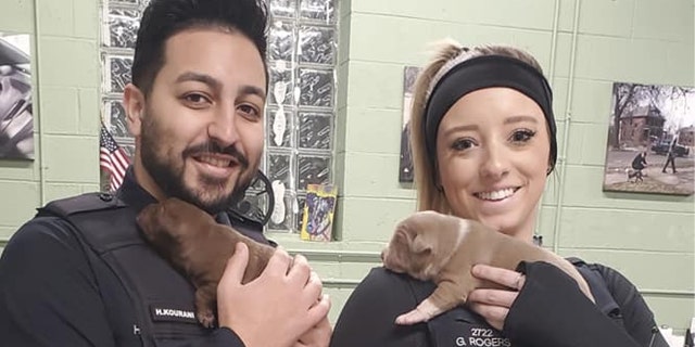 Detroit Cops Rescue Puppies Trapped In Abandoned Home's Mattress Spring - Fox News 2 Around 5 p.m., two officers with the city’s 11th Precinct, identified as H. Kourani and G. Rogers, were called to respond to a report of a