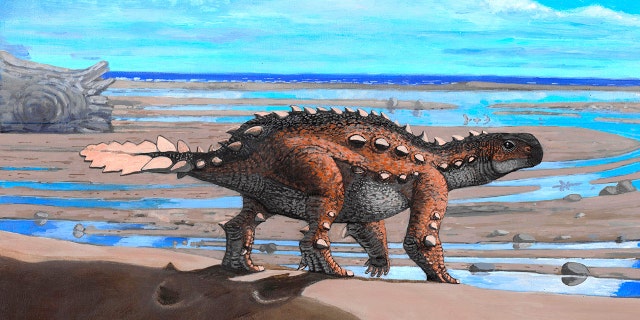 This illustration provided by Luis Perez Lopez shows a stegouros. Fossils found in Chile are from the bizarre dog-sized dinosaur species that had a unique slashing tail weapon, scientists reported Wednesday, Dec. 1, 2021.