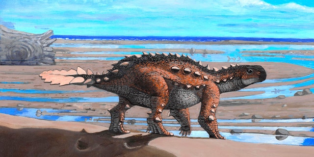 This illustration provided by Luis Perez Lopez shows a stegouros. Fossils found in Chile are from the bizarre dog-sized dinosaur species that had a unique slashing tail weapon, scientists reported Wednesday, Dec. 1, 2021. 