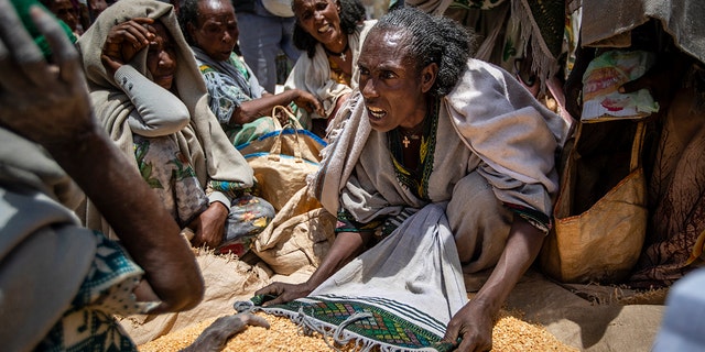 An Ethiopian woman argues with others over the allocation of yellow split peas distributed by the Relief Society of Tigray in the town of Agula, in the Tigray region of northern Ethiopia, on May 8, 2021. In war-torn Tigray, it is not just that people are starving; it is that many are being starved, The Associated Press found. 