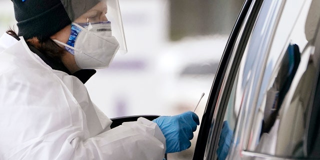 COVID-19 testing specialist Susana Blasco reaches forward with a swab to test a driver at a drive-up coronavirus testing location in Bellingham, Washington, Tuesday, Dec. 21, 2021.