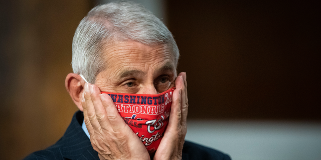 Dr. Anthony Fauci is pictured in a Washington Nationals face mask.