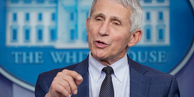 Dr. Anthony Fauci speaks at the White House.