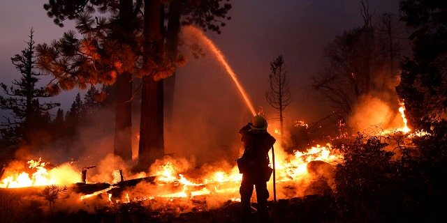Firefighter Elroy Valadez sprays water over a spot fire from the Caldor Fire burning along Highway 89 near South Lake Tahoe, California, on Sept. 2, 2021