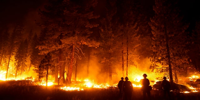 A firefighter lights a backfire to stop the Caldor Fire from spreading near South Lake Tahoe, California, Wednesday, Sept. 1, 2021.