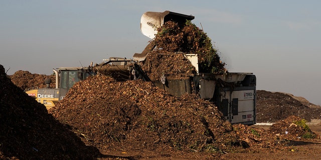 Градинските отпадъци се изхвърлят в мелница заедно с други компостируеми елементи в съоръжението за анаеробно компостиране в централното депо за отпадъци на окръг Йоло в Уудланд, Калифорния, вторник, 30 ноември 2021 г.