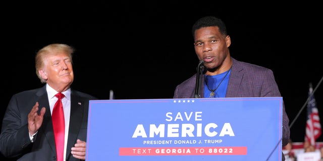 Former college football star and current senatorial candidate Herschel Walker speaks at a rally, as former President Donald Trump applauds, in Perry, Georgia, Sept. 25, 2021. 