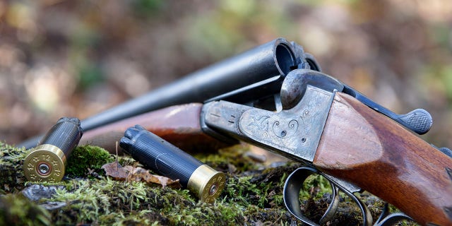 A record number of deer hunting permits were issued in Maine this year.