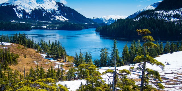 This particular eagle is believed to have also been spotted in Alaska.