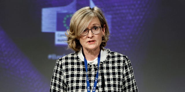 FILE PHOTO: EU Commissioner Financial Services, Stability and the Capital Markets Union Mairead McGuinness speaks at a news conference on the fostering the openness, strength and resilience of Europe's economic and financial system in Brussels, Belgium January 19, 2021 at the European Union headquarters. Kenzo Tribouillard/Pool via REUTERS/File Photo