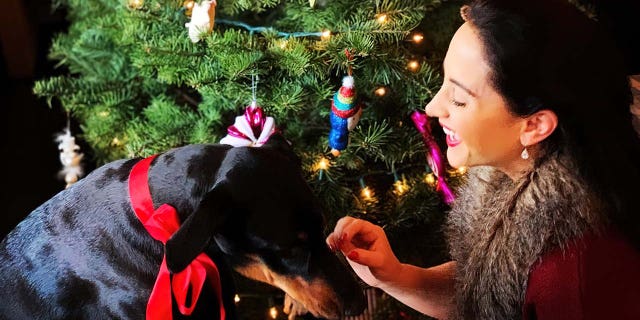 Emily Compagno and her dog, Duchess, in front of the family's beautifully decorated Christmas tree. 