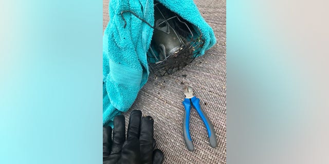A worker from the RSPCA was able to free the animal before it suffered any serious injuries.