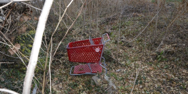 Shopping cart where Fairfax homicide detectives found human remains.