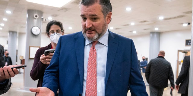 Sen. Ted Cruz, has been a vocal critic of Dr. Anthony Fauci. Photographer: Sarah Silbiger/Bloomberg via Getty Images