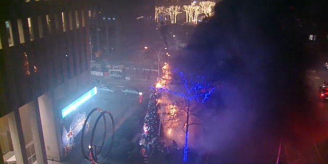 tree-fire-fox-nyc-big-burn-1.jpg