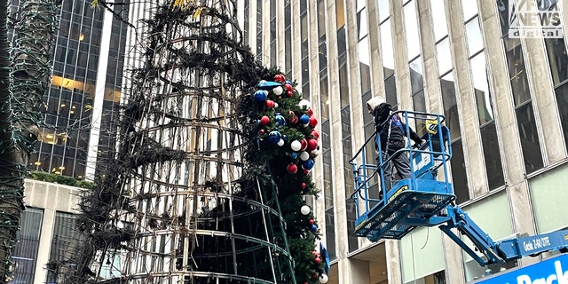 The damaged Fox All-American Christmas Tree is seen Wednesday.