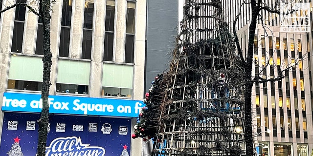 Here's what was left of the tree after the fire. (Fox News Digital)