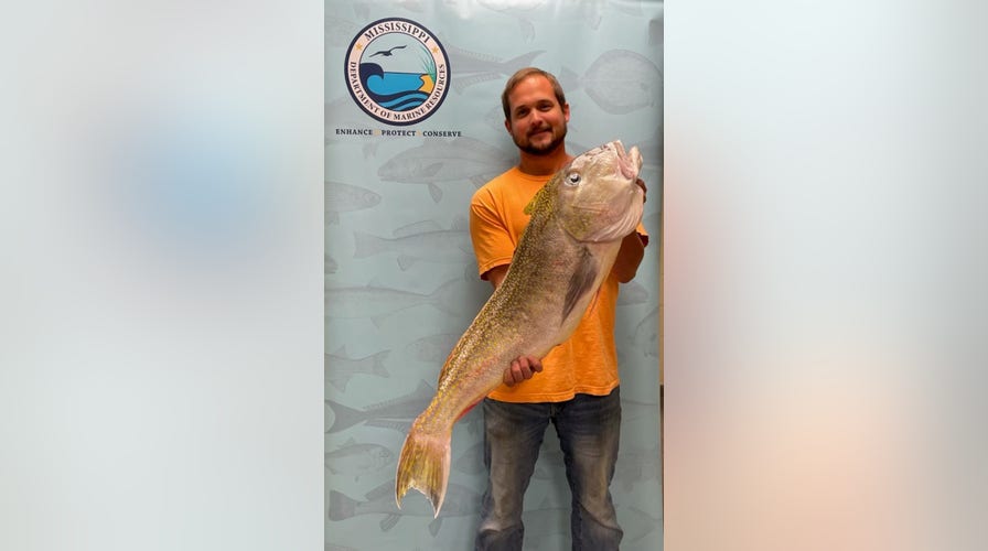 Fox News Flash top headlines for December 28