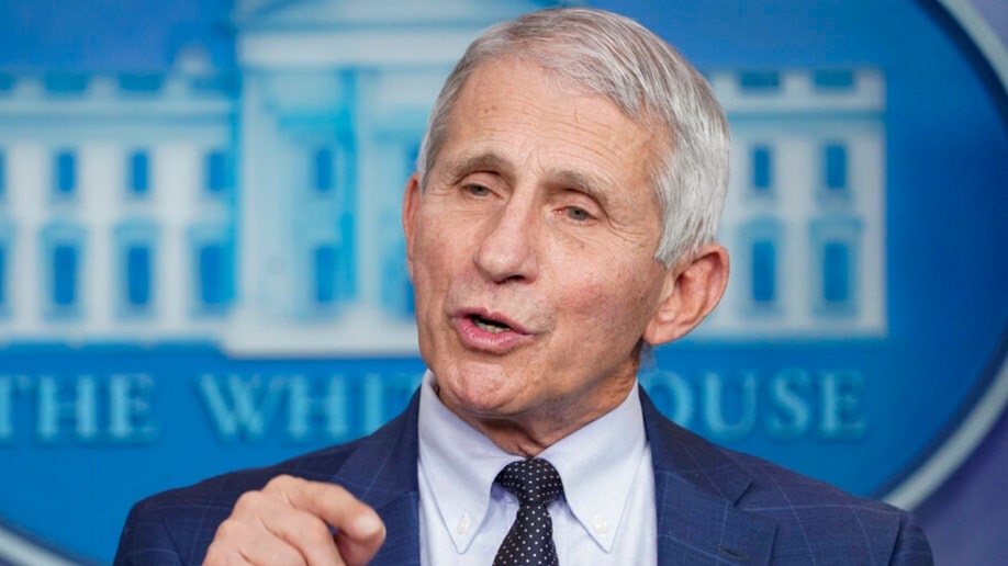 Anthony Fauci stands at White House podium