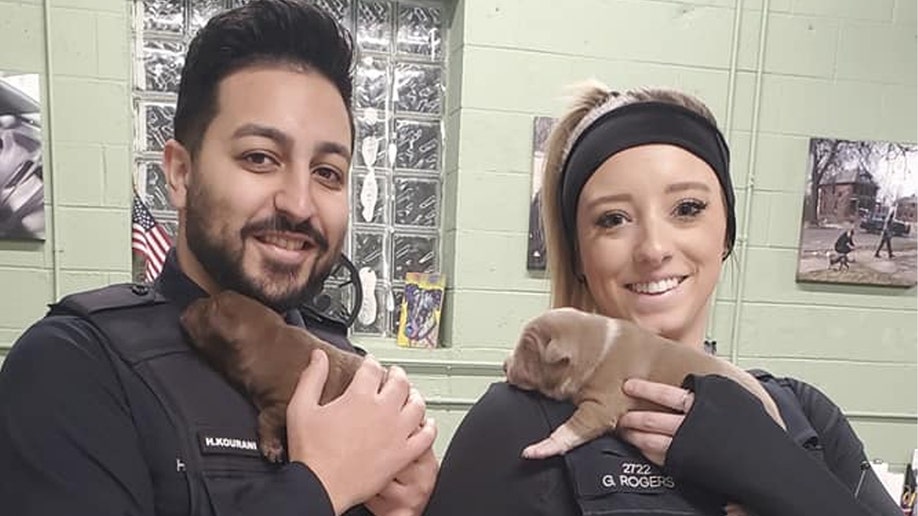 detroit officers rescue puppies