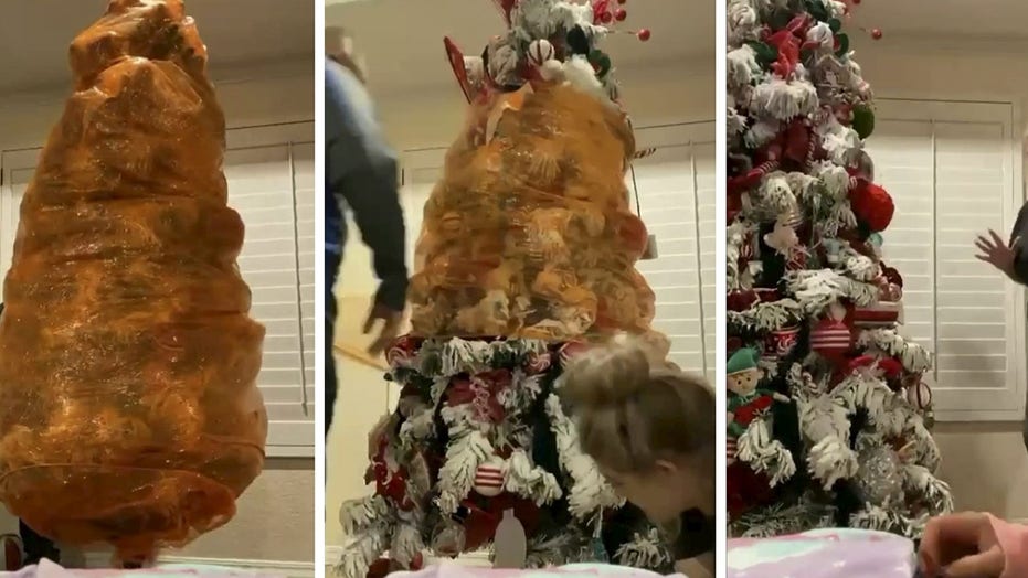 Mom preserves Christmas tree her son decorated before his death