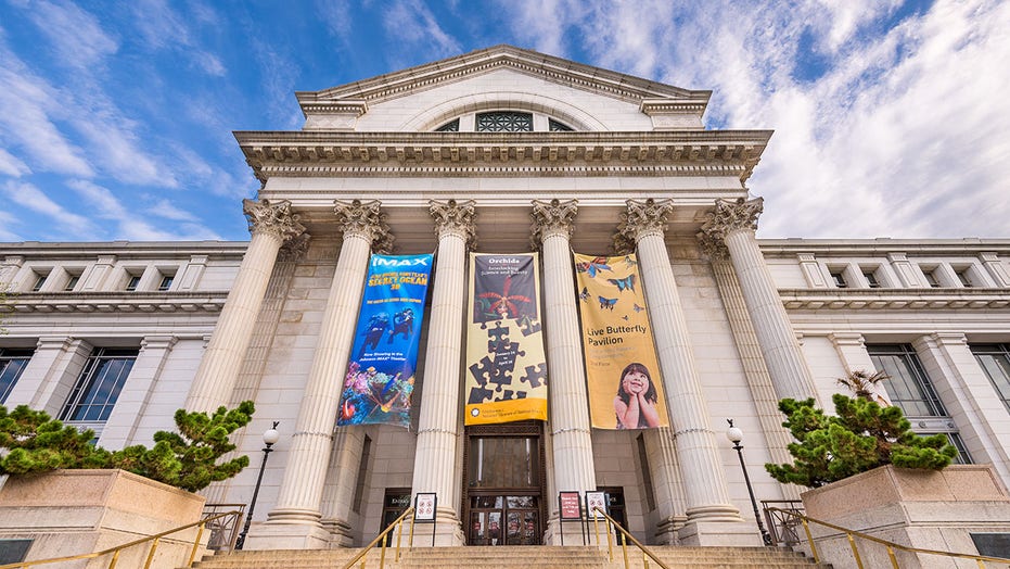 Smithsonian announces 4 museums will close due to COVID-related staffing issues