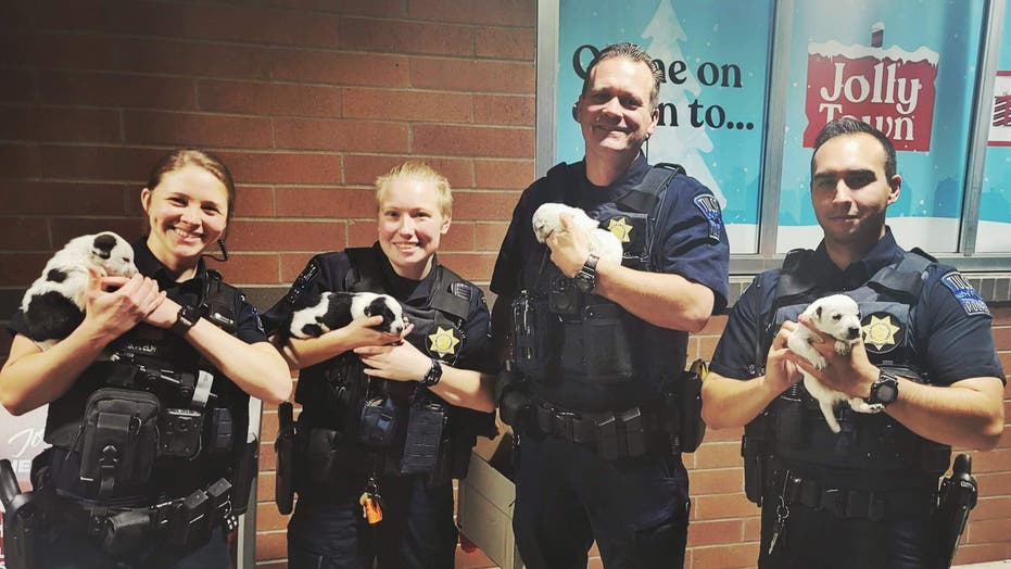 Tulsa cops rescue, adopt ‘abandoned Christmas puppies’ found zipped up in duffel bag