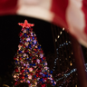 FOX News Media's All-American Christmas Tree rebuilt.