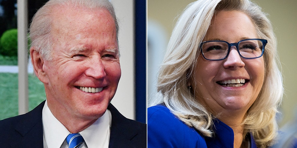 Biden-Cheney? Twitter melts down over NYT columnist's proposed 2024 ticket - Vimarsana News