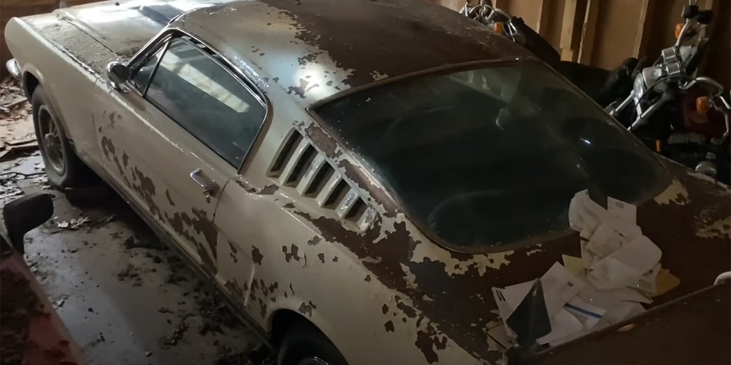 Rare 1965 Ford Mustang Shelby GT350 worth a fortune found in abandoned home - Vimarsana News