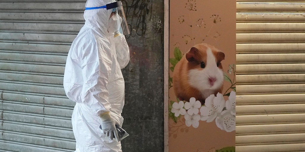 Hong Kong to kill 2,000 animals after several hamsters test positive for COVID-19 - Vimarsana News