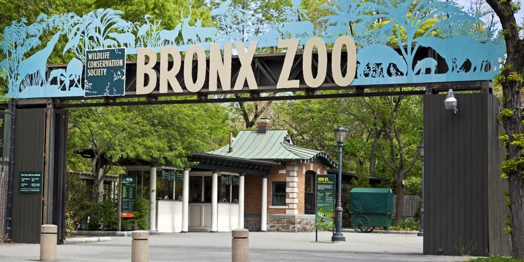Zoos continue Valentine's Day tradition of naming cockroaches, animals after exes and loved ones - Vimarsana News