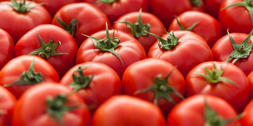 Yet another shortage in the USA? Farmer shares alarm about tomatoes, rising price of ketchup, salsa - Vimarsana News
