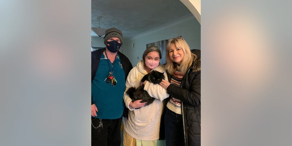 Lost cat lived at rest stop near busy highway for seven months - Vimarsana News