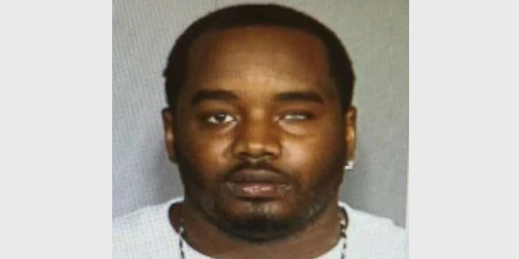 NYPD cop-killing suspect Lashawn McNeil dies of injuries from Friday shootout with police - Vimarsana News