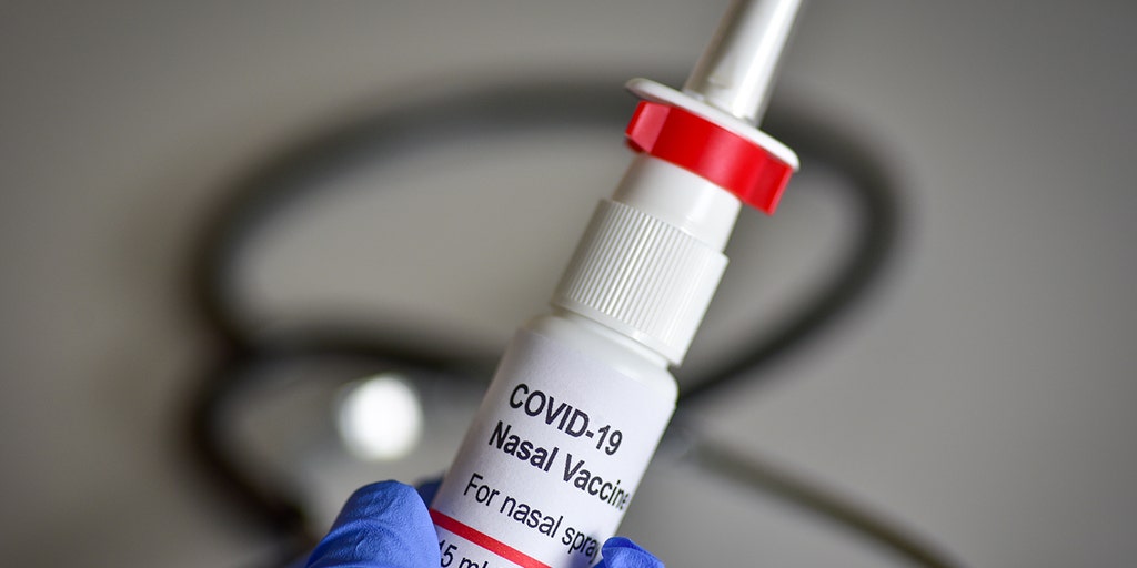 Anti-COVID nasal spray could protect against infection for up to 8 hours: researchers - Vimarsana News