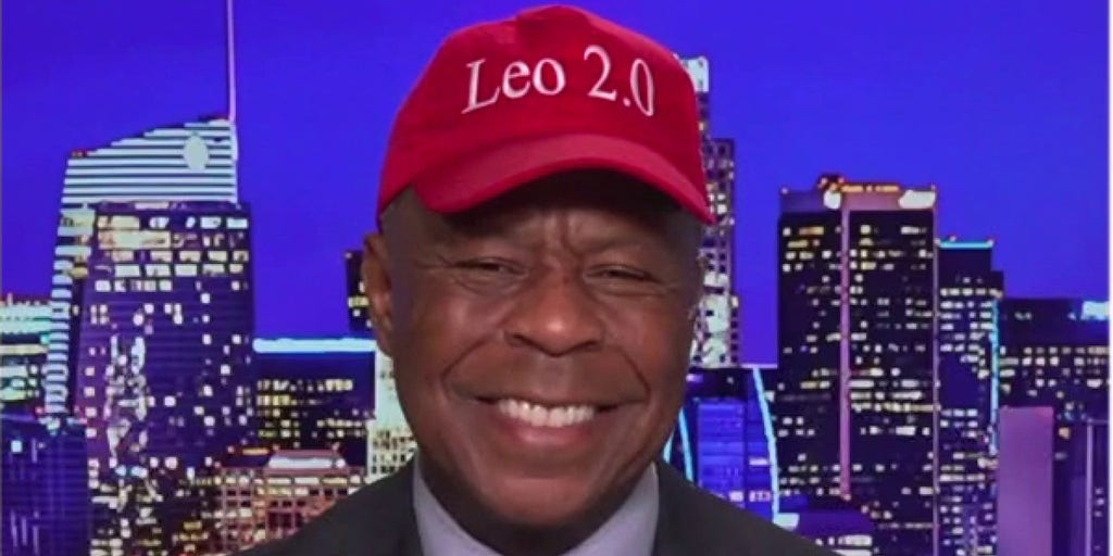 Leo Terrell blasts Democrats in '1965 time-warp' over racism claims in opposition to election law overhaul - Vimarsana News