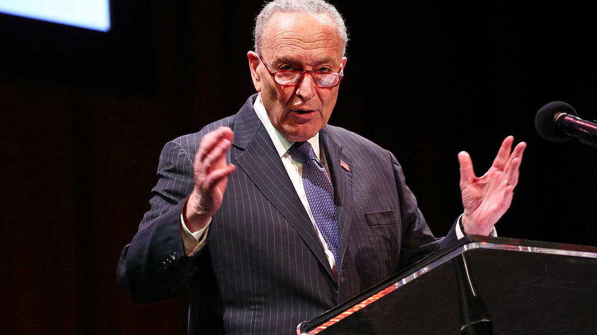 Senate Majority Leader Chuck Schumer