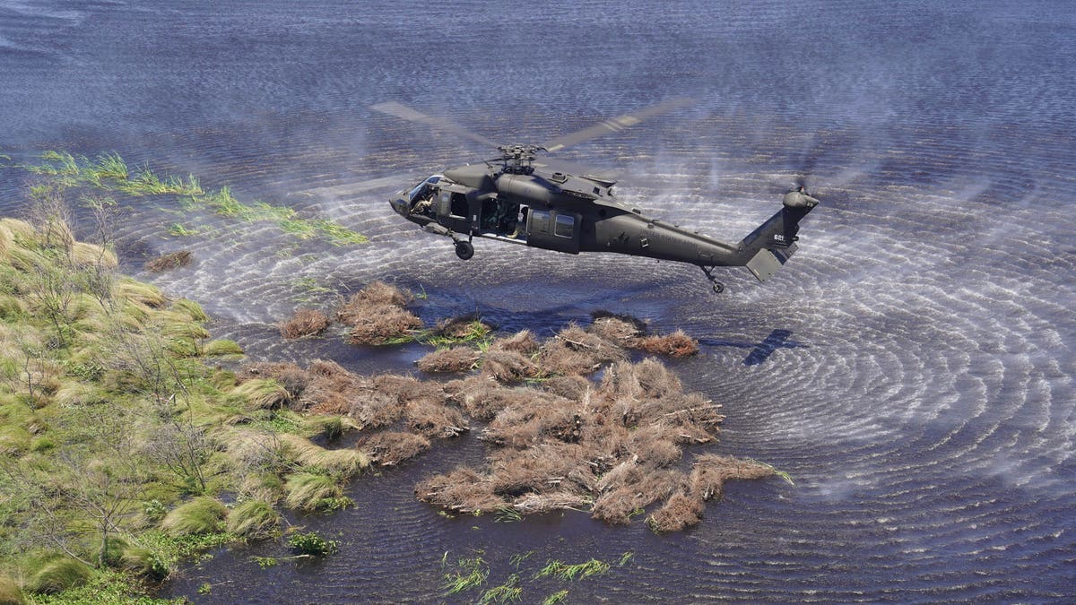 In two decades, the National Guard has added about 200 football fields of marshland to Louisiana's coast.